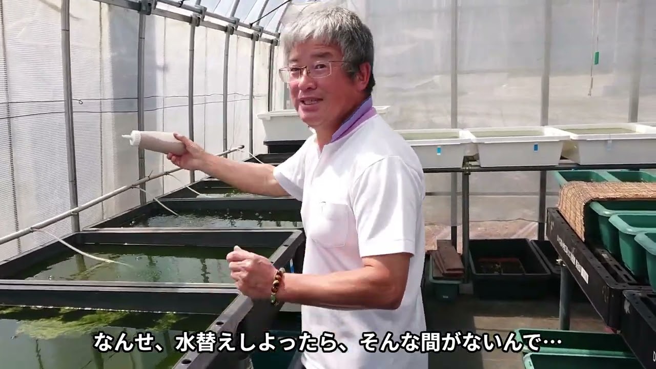 「こじまメダカ」さん訪問