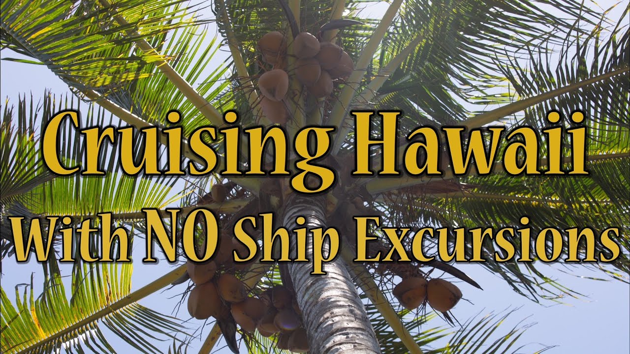 Hawaii Honeymoon Vlog 3: What We Did On The Four Island Pride of America Cruise Suite 10008