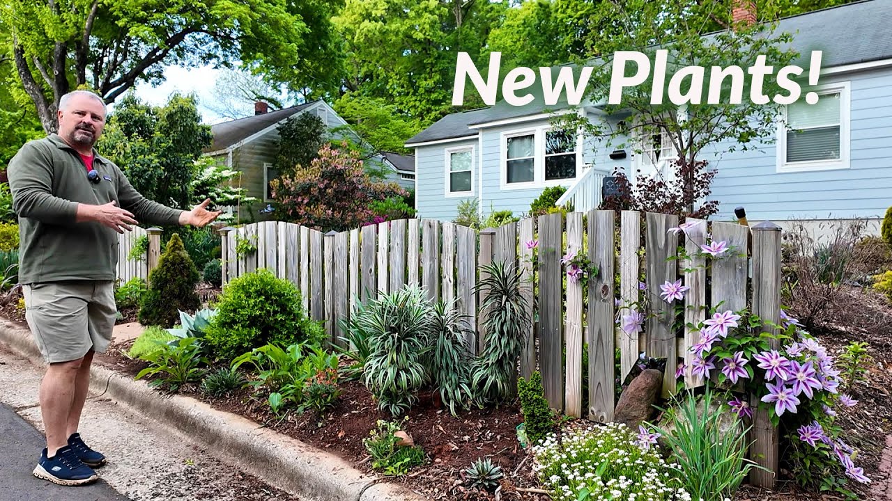 Tough Plants in a Tough Space - Garden Redesign