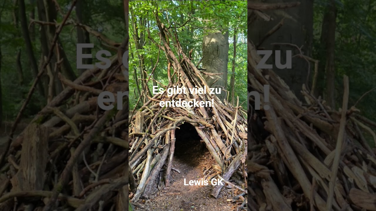 Es gibt viel zu entdecken! #musik #entdecken #viral #nature #freude #free #artmusic #rockmusic