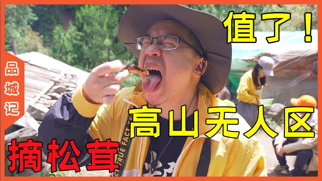 經費不夠拿命來湊！嘉昇冒著生命危險到高原無人區採摘松茸！不過吃到嘴巴里那一刻就覺得：一切都值了！ 【品城記】