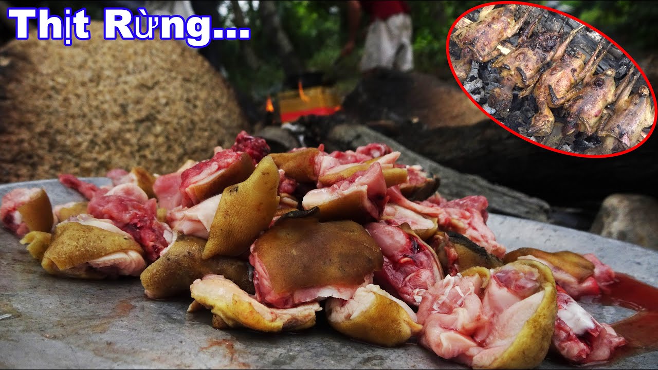 Ngủ Rừng, Trải Nghiệm Săn Chim Trong Rừng - Sông Thạch Thảo | T4