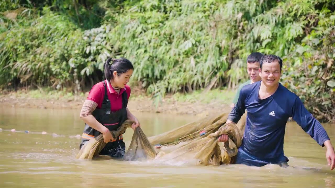 Harvesting 1000Kg of Big Fish in Large Lake - Dredge Fishing Nets - Transport to market to sell