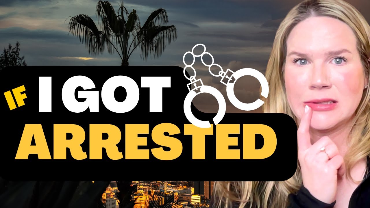 An INSIDE Look at What a Criminal Attorney DOES When Arrested for Domestic Violence (PC 273.5)!