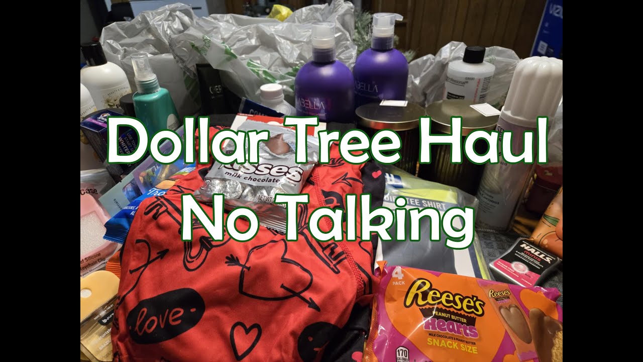 Dollar Tree Haul No Talking 1 /15/26