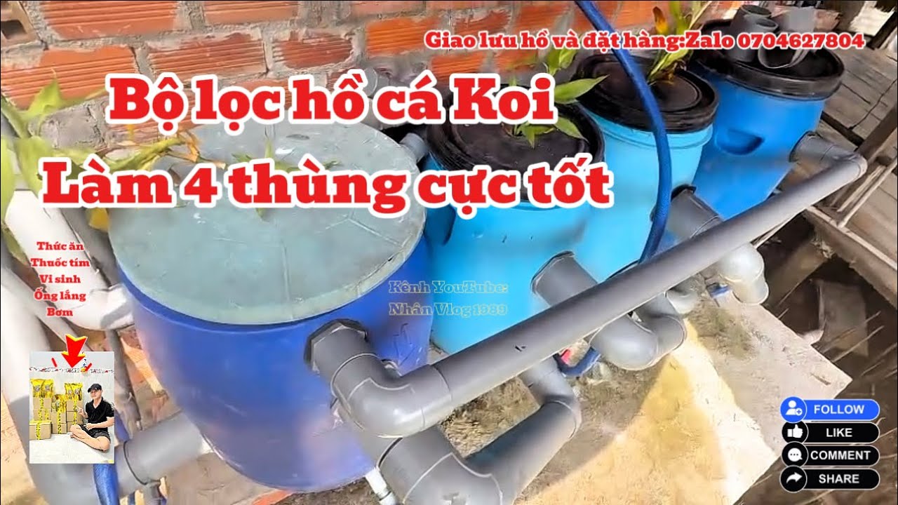 Bộ Lọc Hồ Cá Koi 3 Ngăn + 4 Thùng 100l Siêu Sạch - Hồ Cá Koi 5 Khối Đẹp Nước Siêu Trong.Hồ A Triệu.