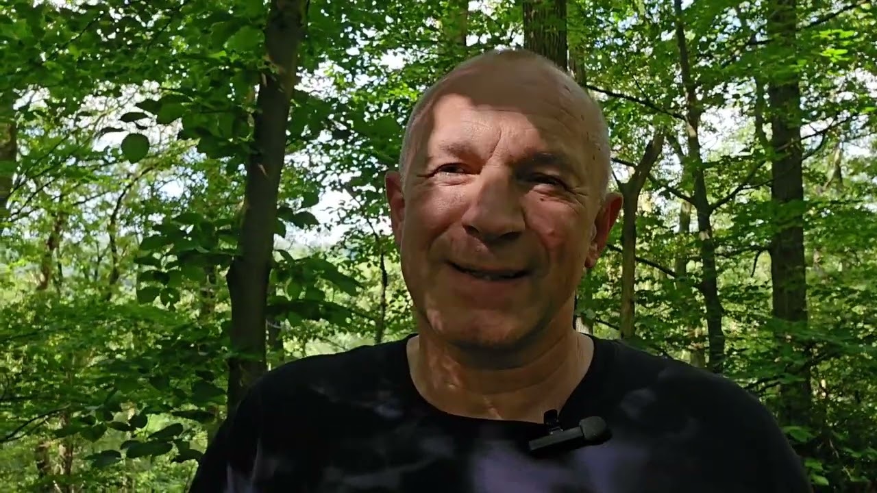 Waldspaziergang Wanderung rund um Sudberg