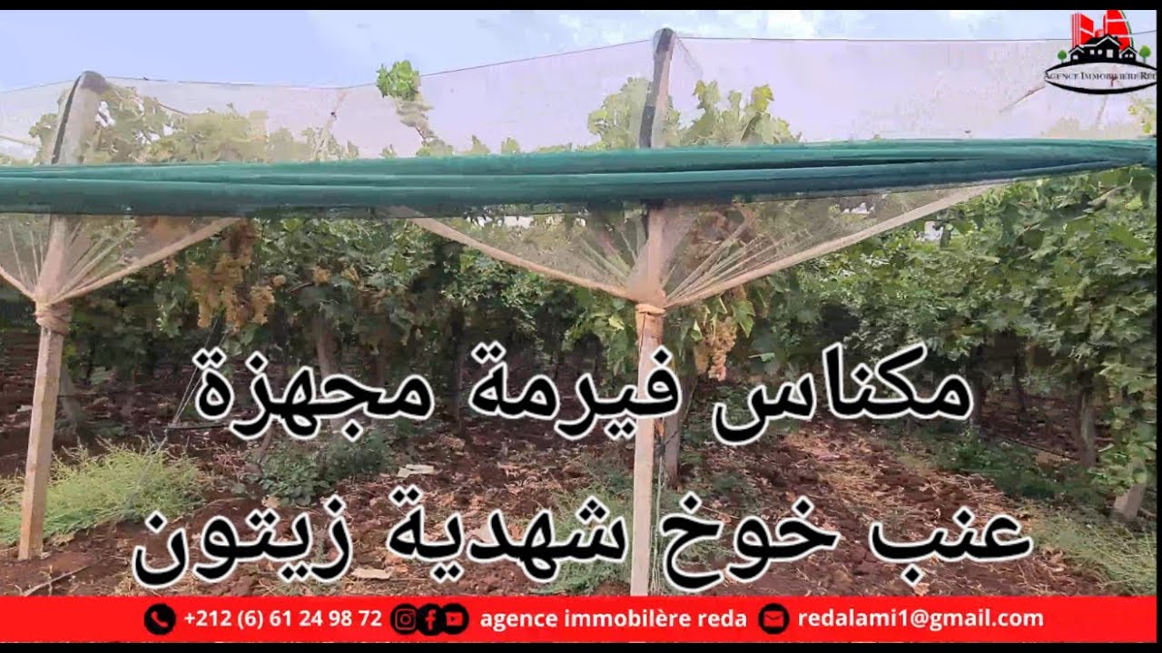 Ferme équipée  52h Meknes فيرمة مجهزة مكناس