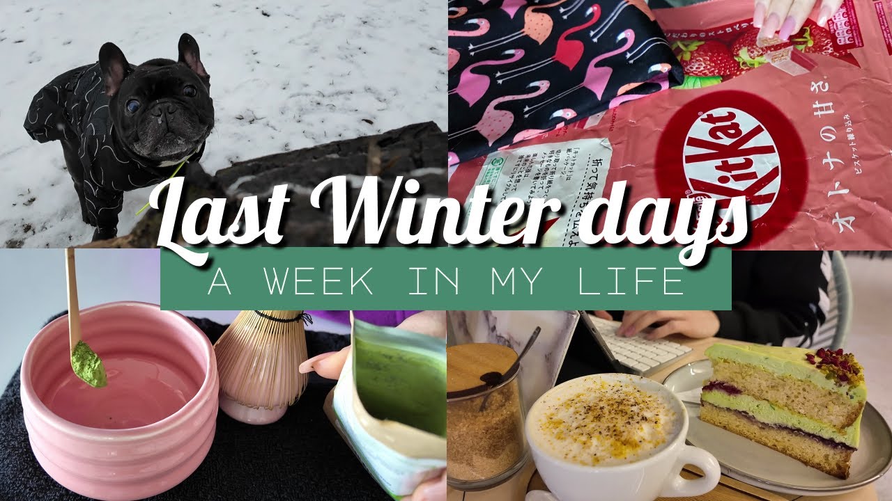 Week in My Life: Starting Spring Cleaning, Healthy Bean Brownies & Upcycled DIY travel pouch🌸