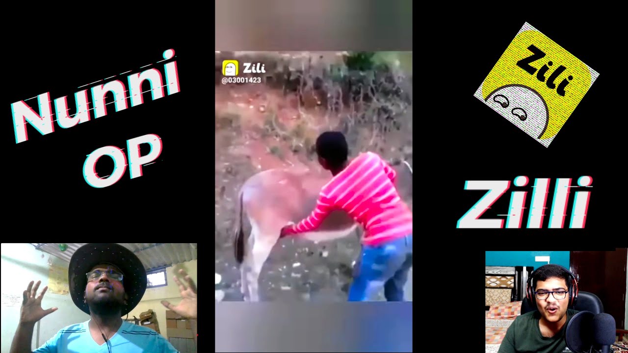 INDIA'S BEST TIKTOK VIDEOS (ZILI) || FT. STORM SPLIT'S - EVO SIDD