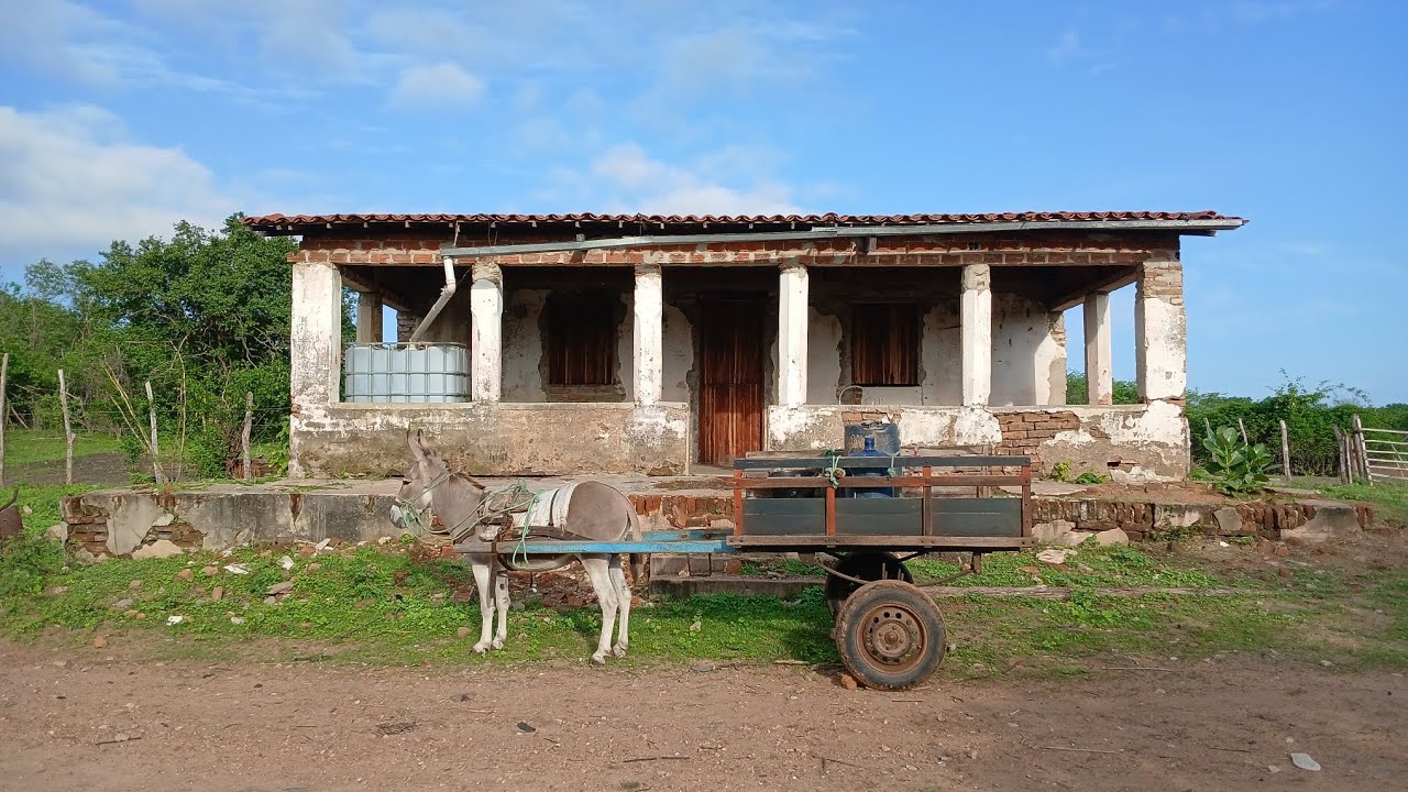 🔴 Fui buscar água na antiga casa que morei antes de fazer a minha 😱🏡💪🤠😯