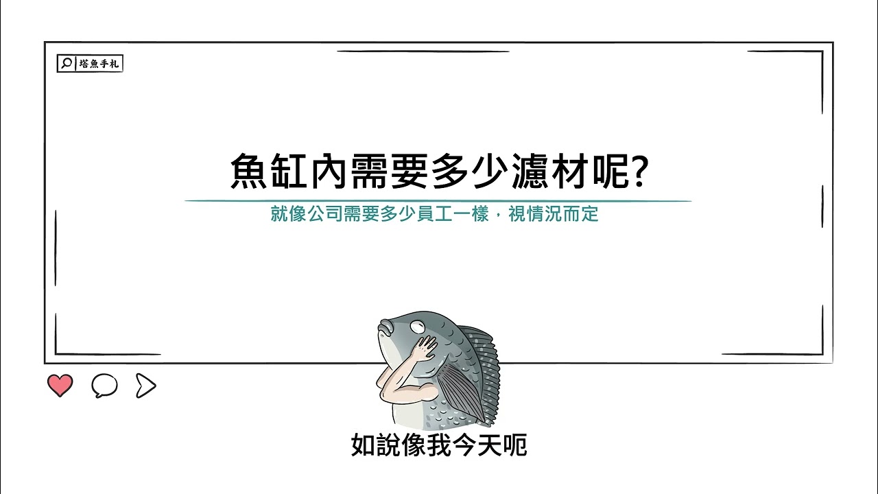 [水族大大不要聽]Ep108魚缸內到底要用多少濾材?我怎麼知道濾材有沒有太多或不夠?