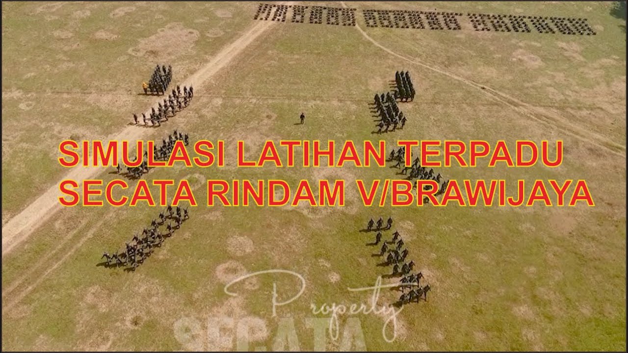 Интегрированная имитация обучения в стиле Риндама V