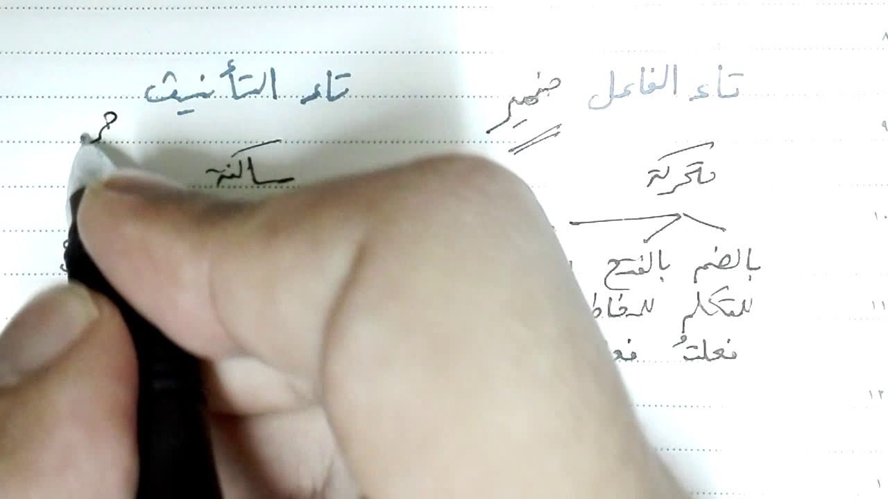 الفرق بين تاء الفاعل وتاء التأنيث الساكنة