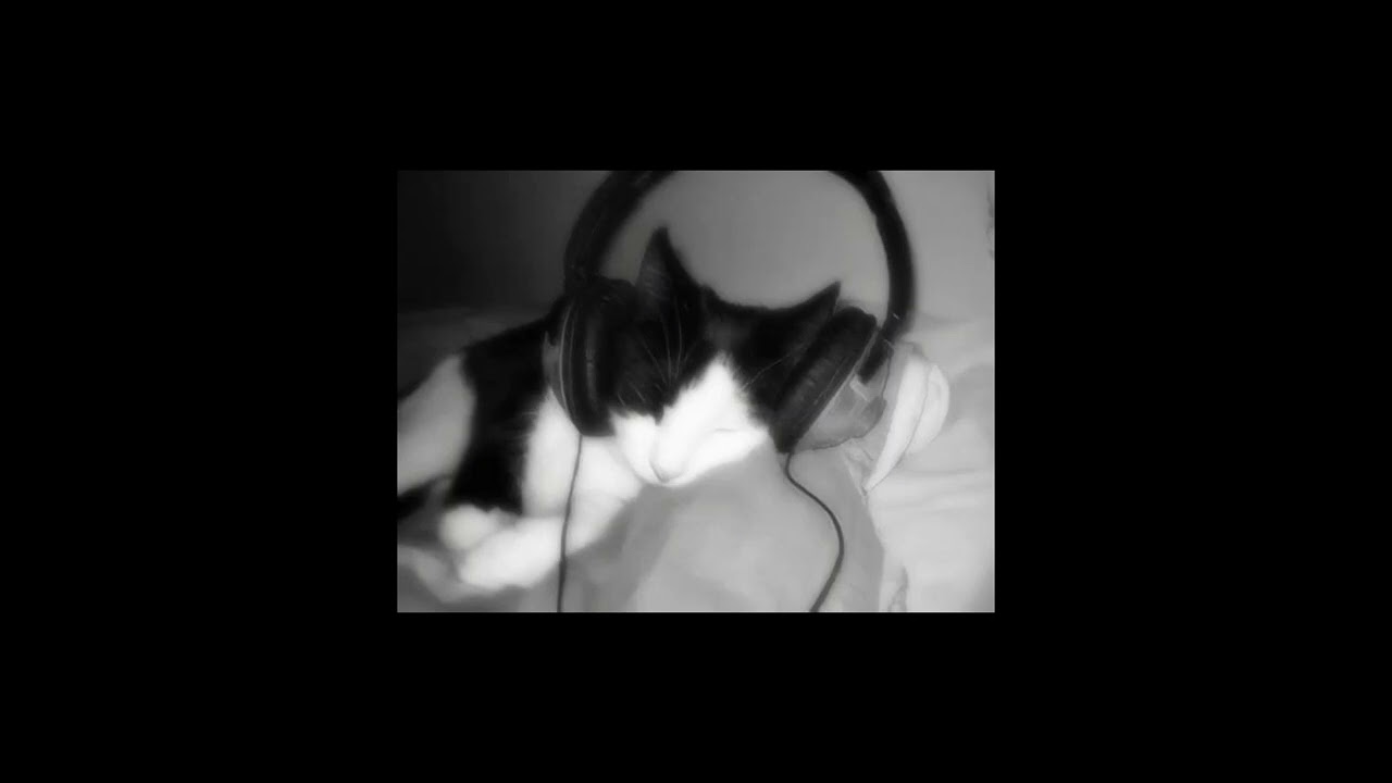 speed up tiktok + edit audios ❀ // pt. 14