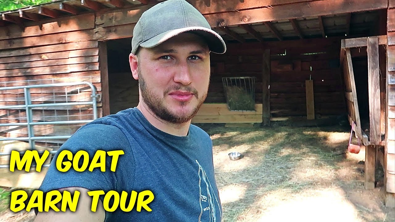 My Goat Barn Tour