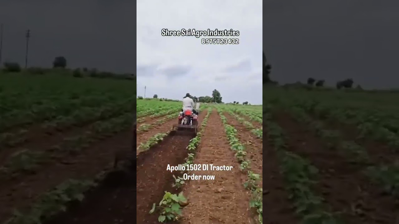 Apollo Tractor Mini Tractor Shree Sai Agro Industries Contact 8975723432 #farmer #agroproducts