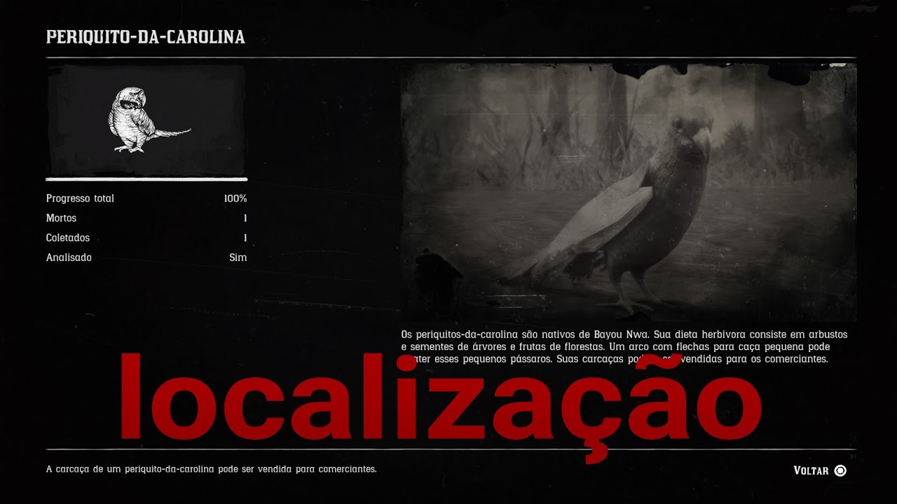 Periquito-Da-Carolina localização Red Dead Redemption 2