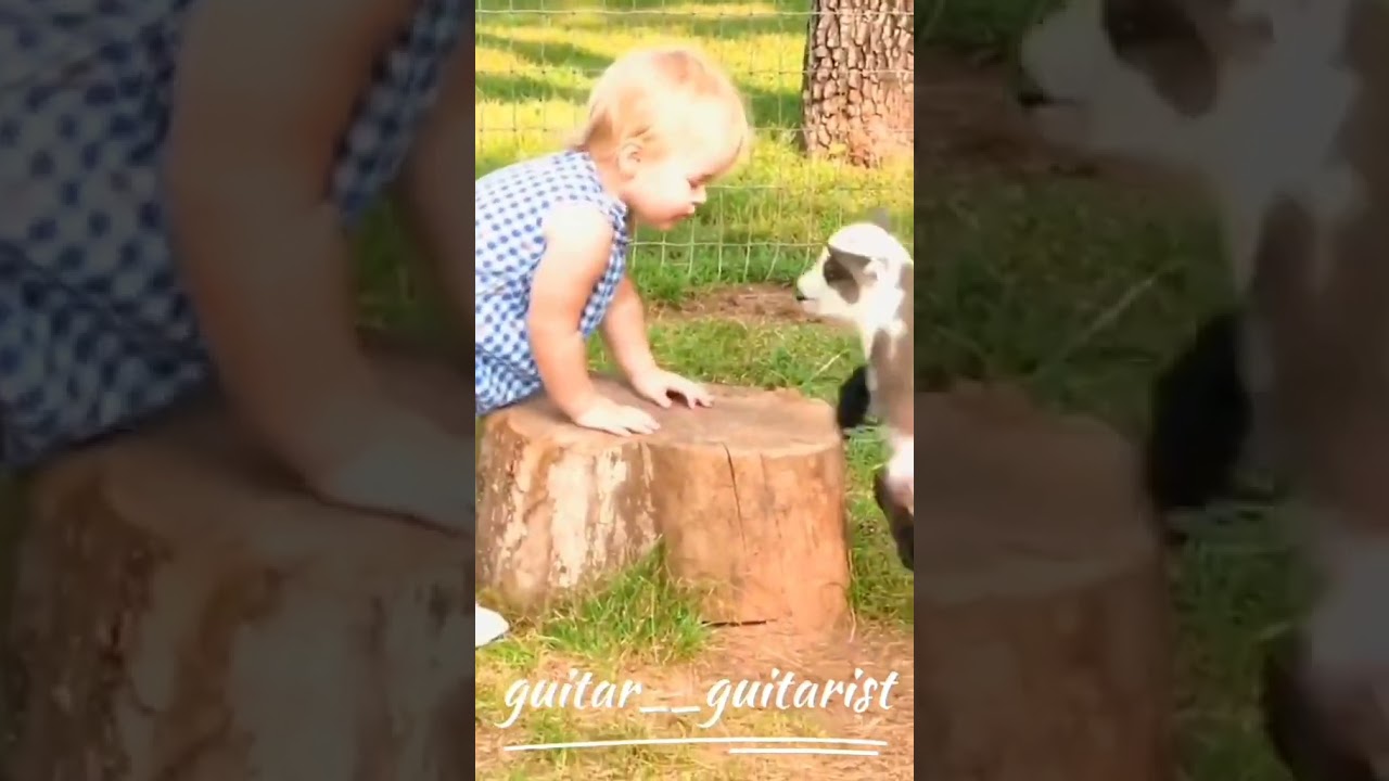 Funny Baby reaction on the Goat 🐐 || #shorts