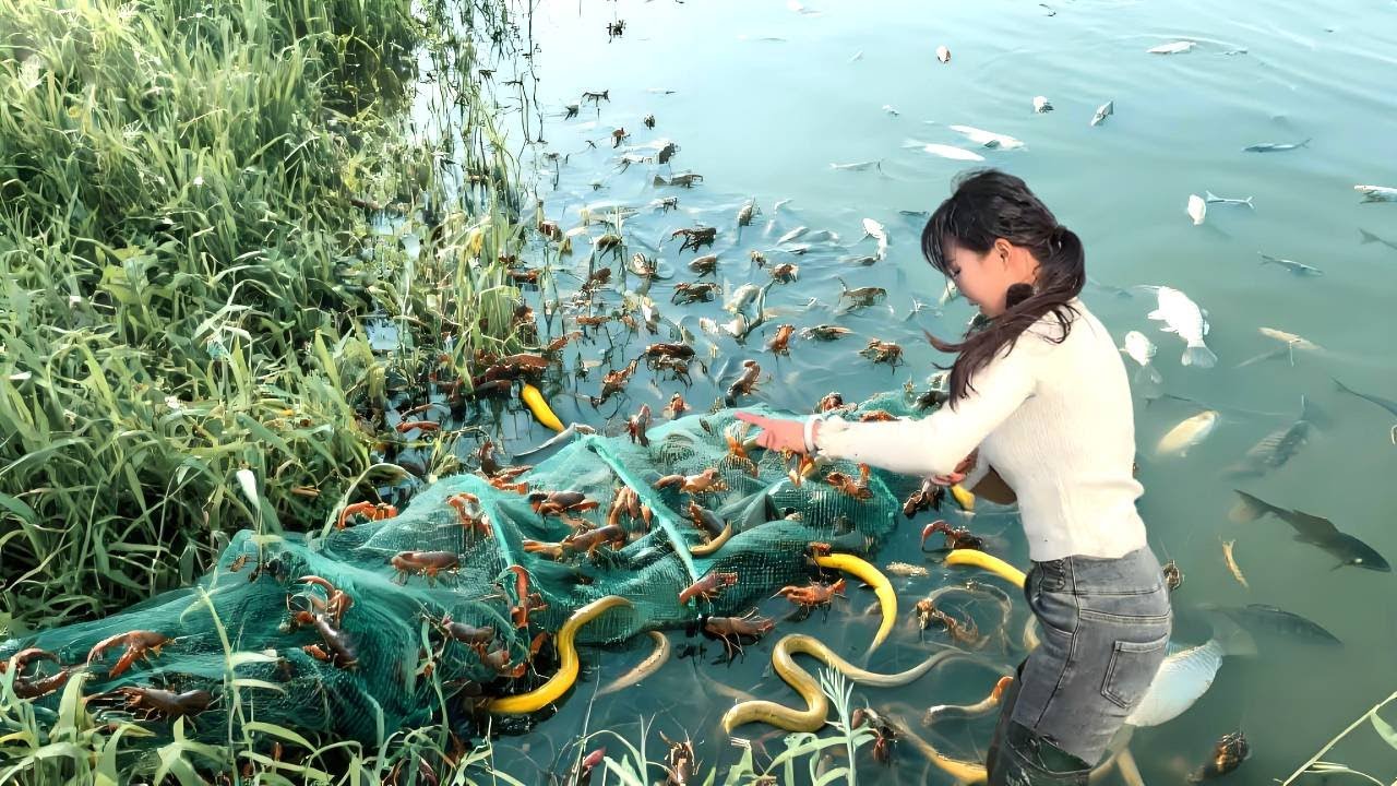 美女在80亩鱼塘下了50个笼子，究竟收获了多少能被被全村嘲笑？！【文杰吖】