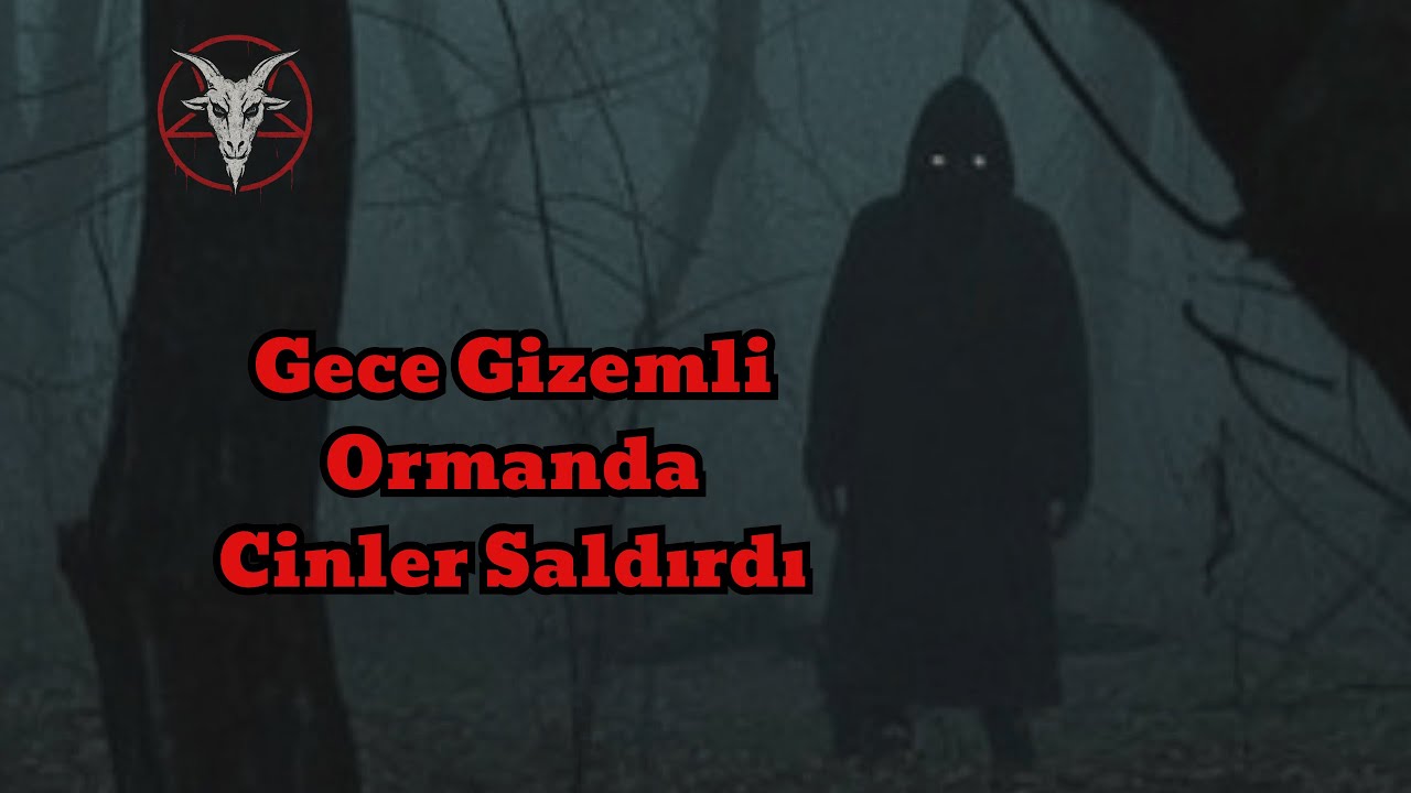 GİZEMLİ ORMANDA CİN SALDIRISI - Paranormal Olaylar