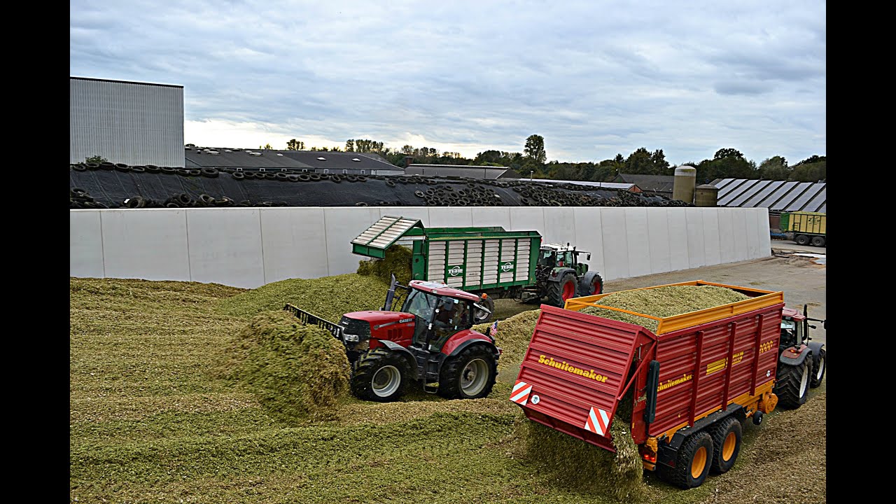 Maishäckseln extrem mit Case Puma, Fendt, New Holland, John Deere, Krone uvm. - BGA Brunen 2014