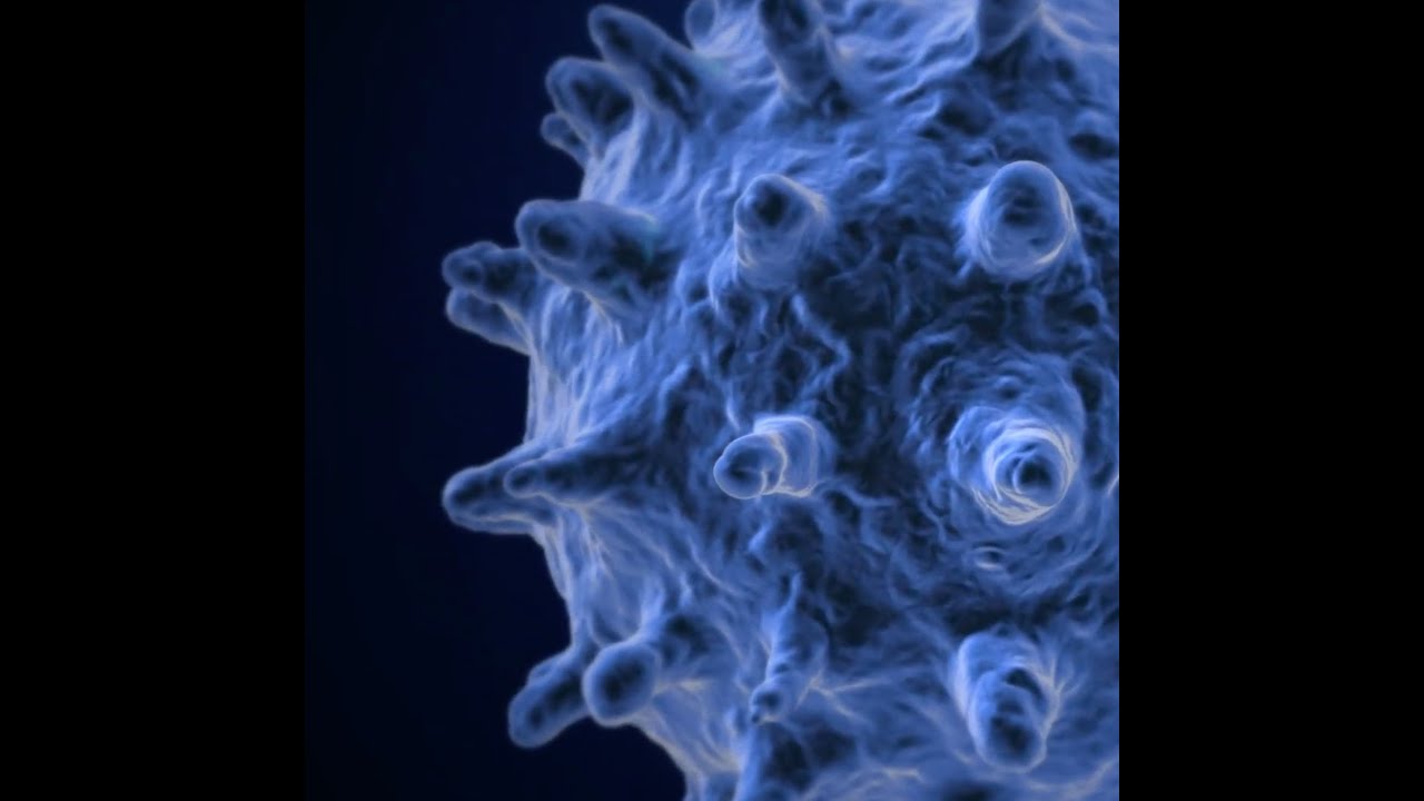Inovio&rsquo;s COVID19 Vaccine
