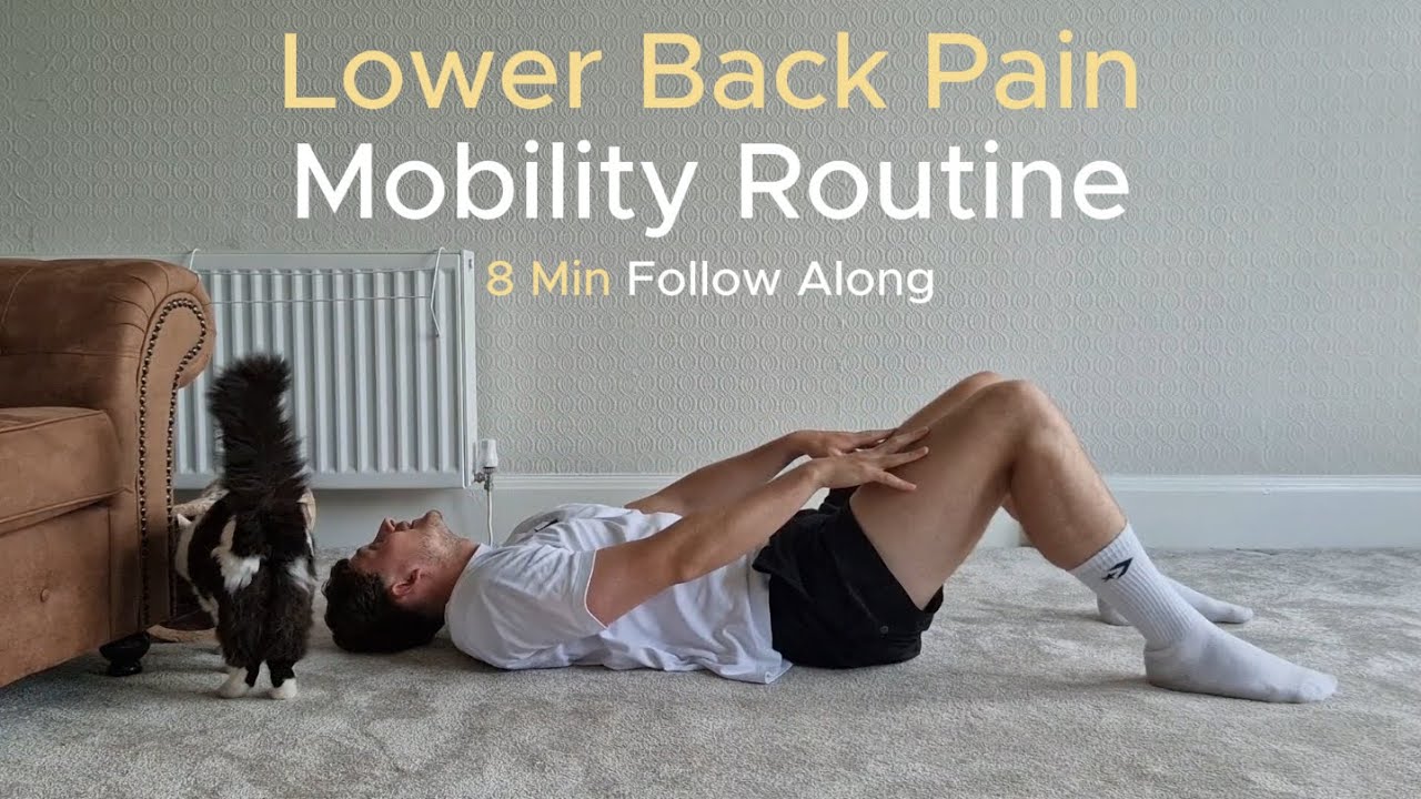 Lower Back Back Pain Mobility Routine | 8 Mins Follow Along | No Equipment