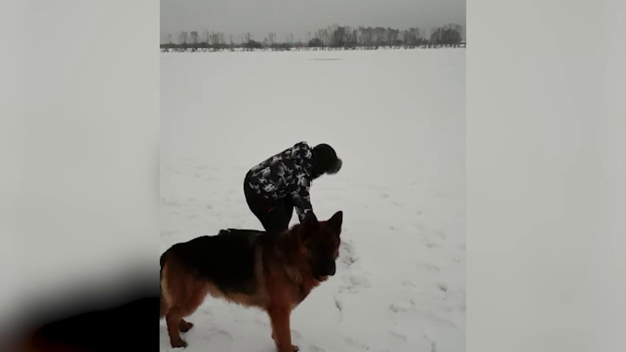 Ока впервые за несколько лет замерзла
