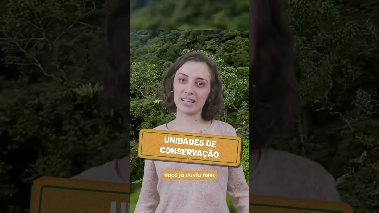🌱 Junho foi o m&ecirc;s do Meio Ambiente