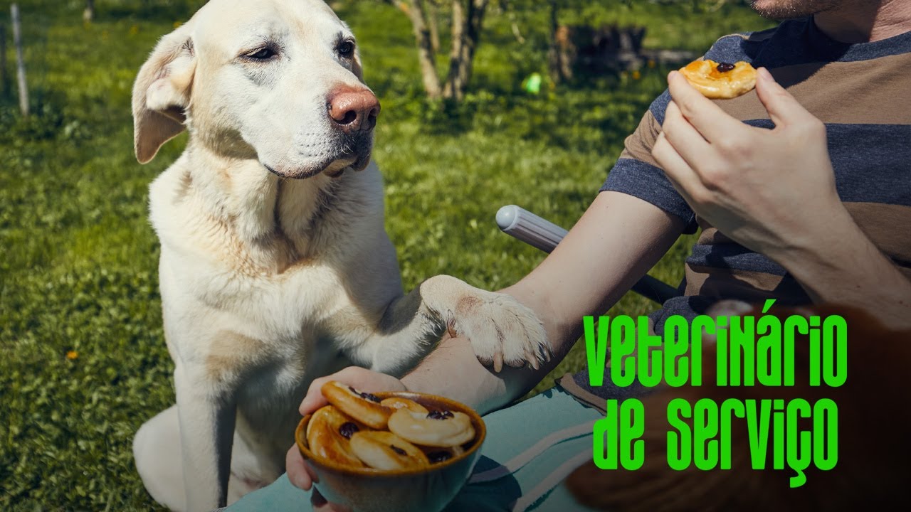 Ração ou Alimentação Natural? Saiba como escolher