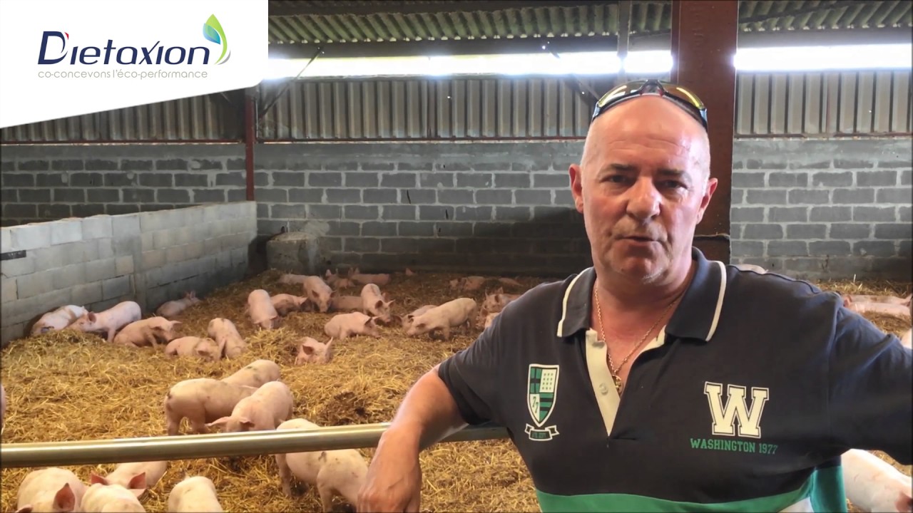 COBIOTEX en porcs sur paille: un outil pour améliorer le sanitaire et l'agronomie