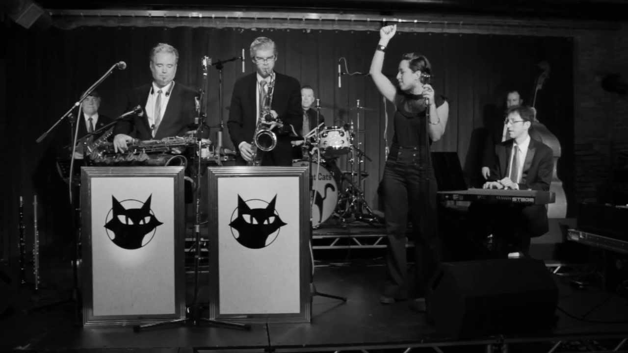 No Moon At All - The Flat Cats