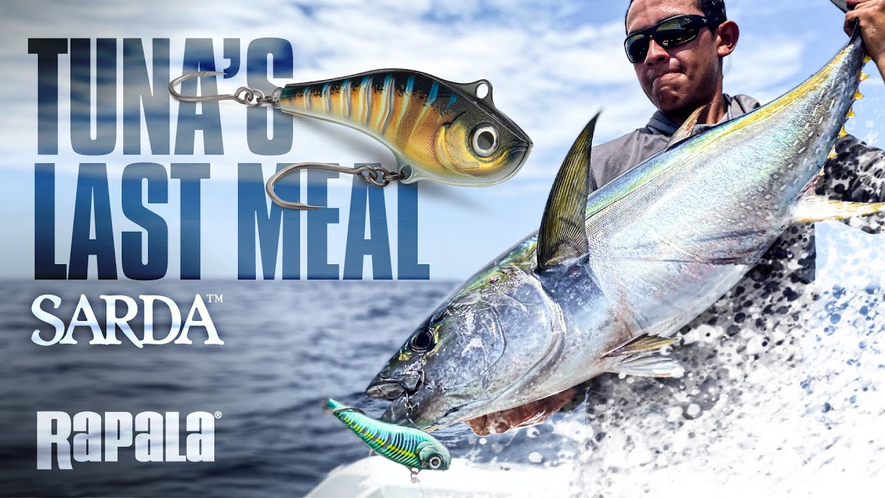 Rapala® | NEW Sarda™