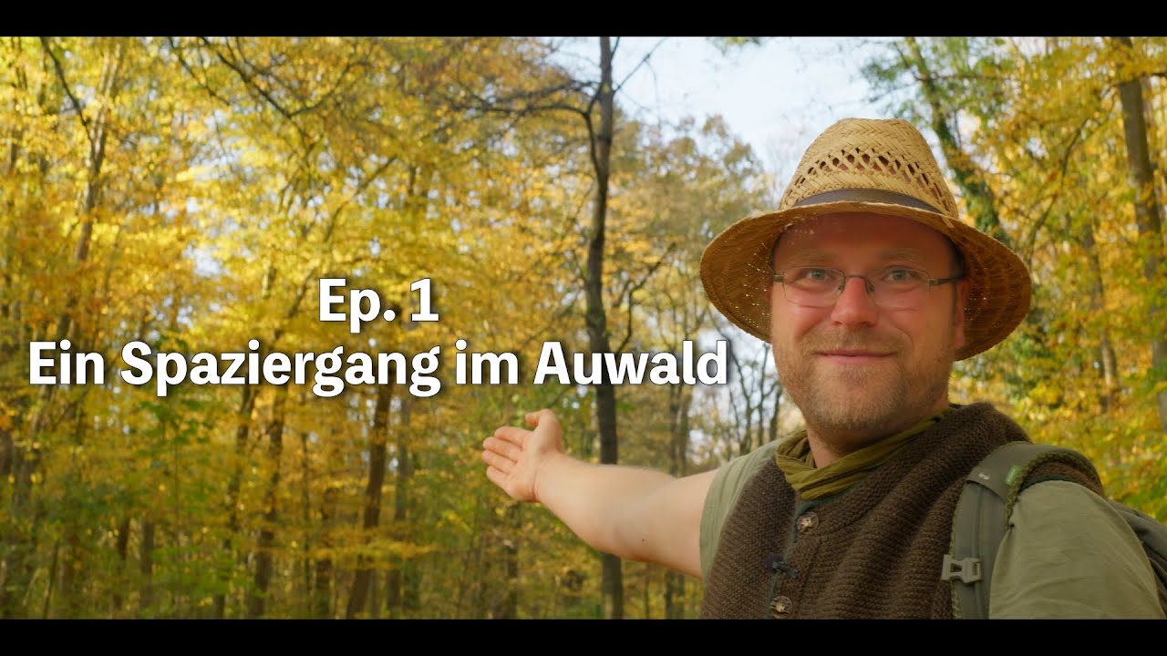 Ein Spaziergang im Auwald | Naturwanderungen mit Johannes Ep. 1