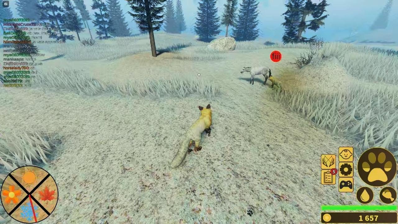 Yellowstone Une vie de renard #2