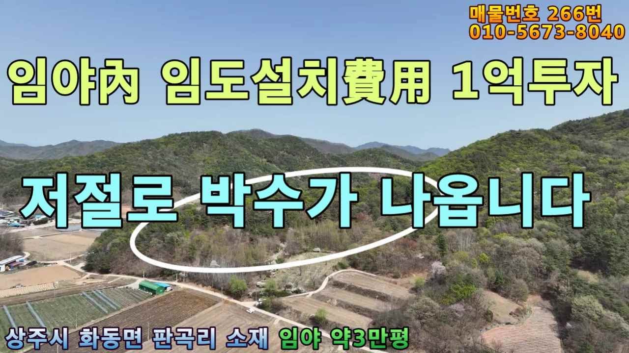 (266번 매물)밭같은 완경사지 6~7천여평 있음.임야안에 사설 임도 800m 설치.경사도20~25도이나 완경사지 많음.해발300~400m에 위치.산약초나 산나물,약용식물 재배적지