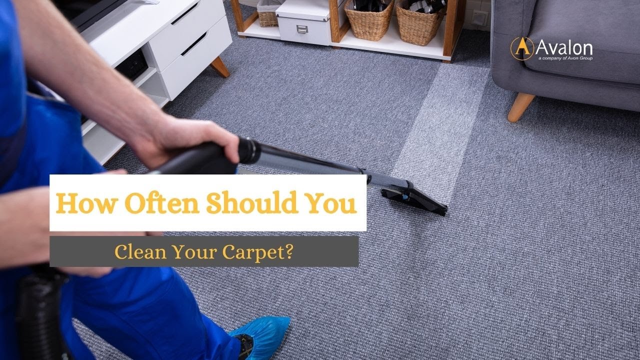 How Often Should You Clean Your Carpet?