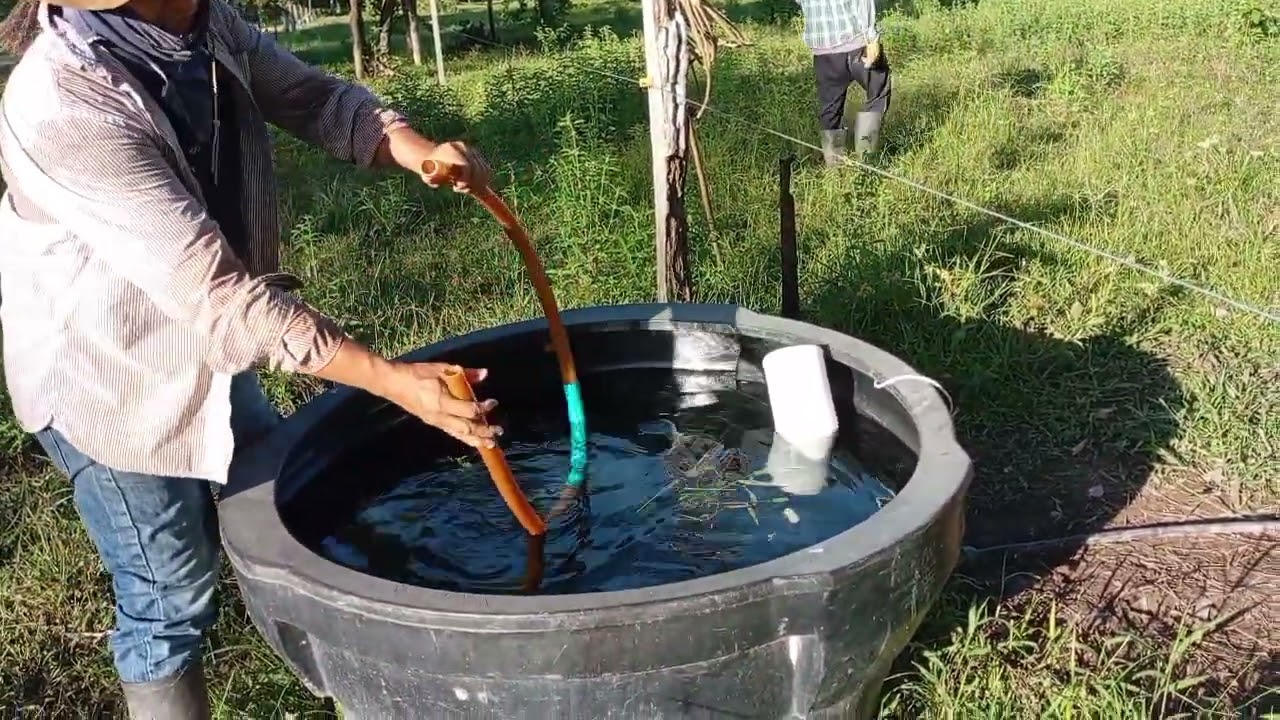 El Efecto Sifón vaciado fácil en los bebederos del ganado!....como funciona!?