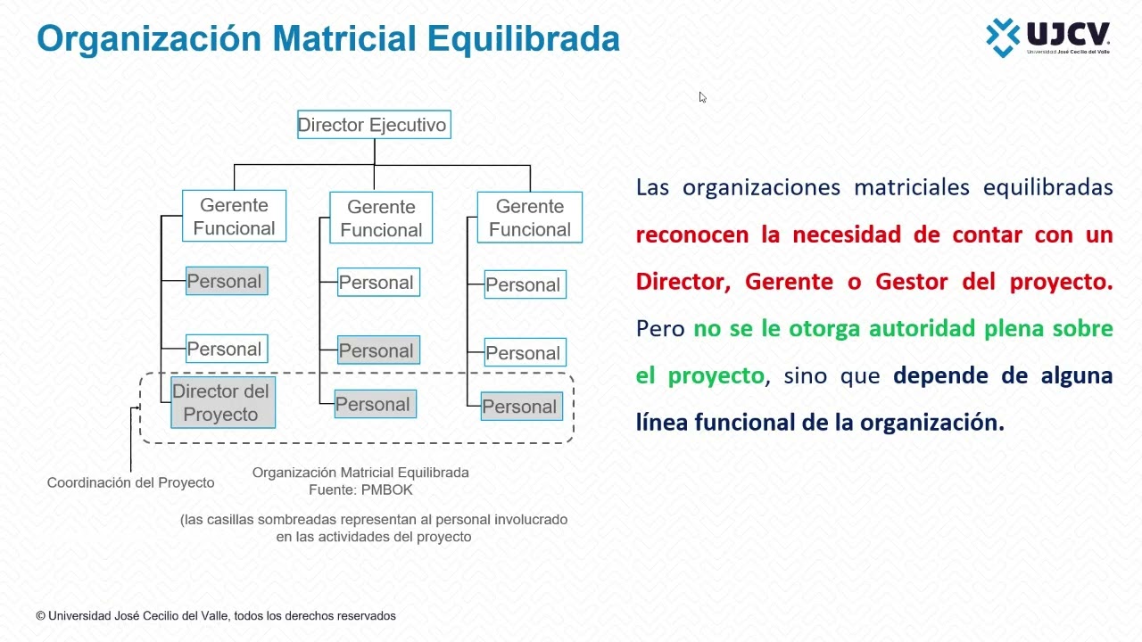 Estructura Organizacional