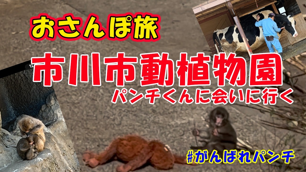 2026/3/7 パンチくんに会に行く　おさんぽ旅