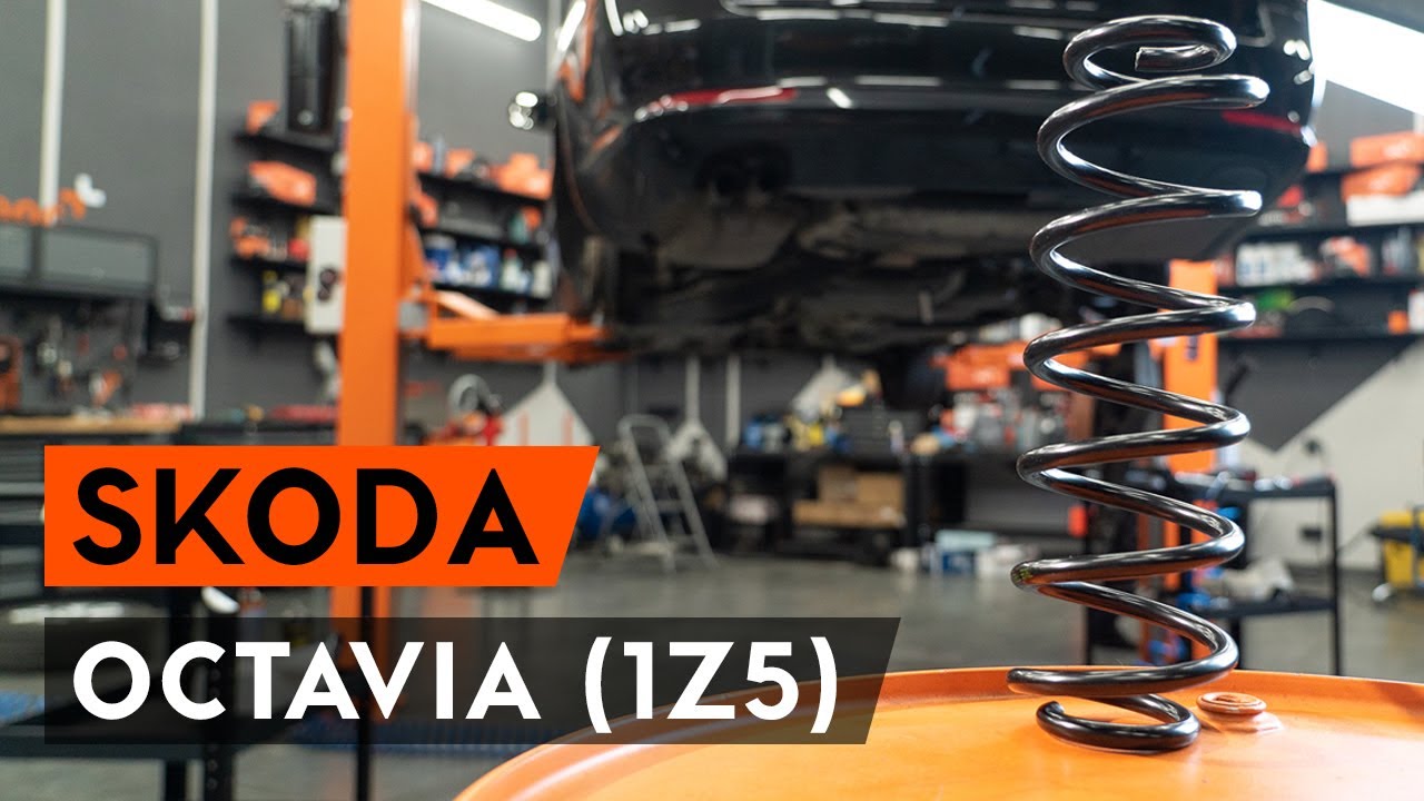 Så byter du fjädrar bak på OCTAVIA (1Z5) [AUTODOC-LEKTION]