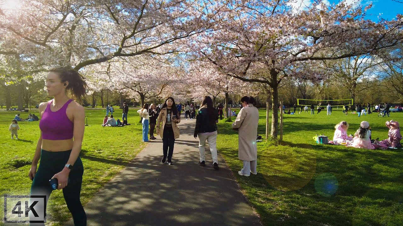 Springtime Walk in Battersea Park & Battersea 🌸 London Cherry Blossom 🌸[4K]