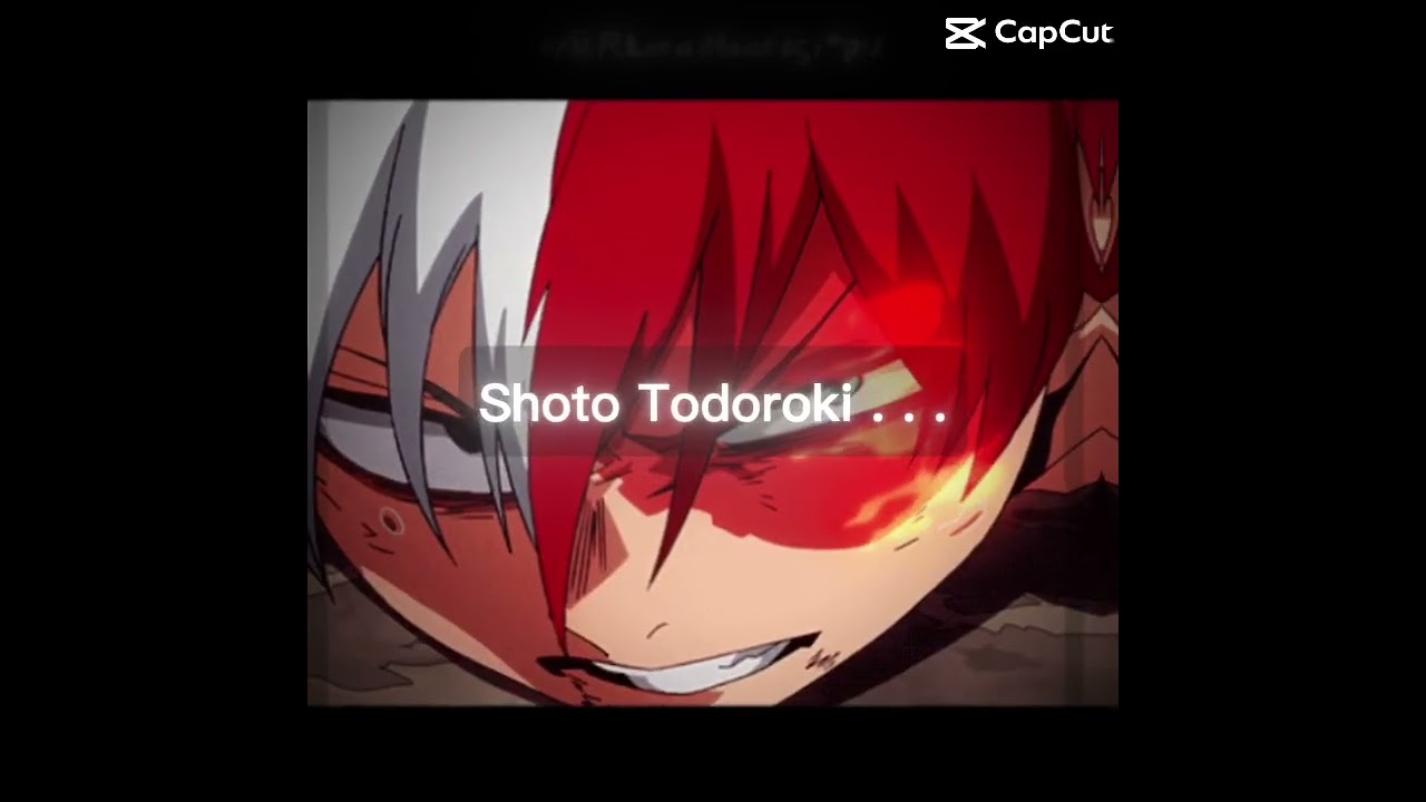 Prince Shoto 👑