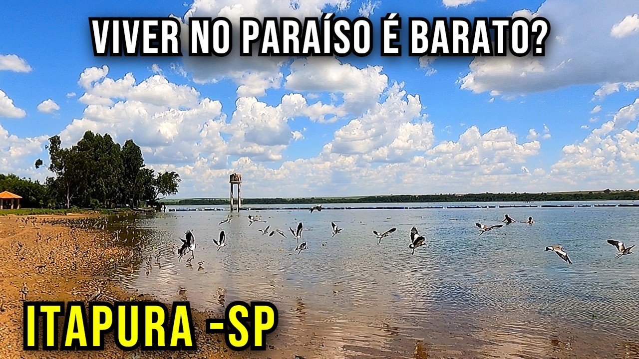 Muito Peixe. Pouco Estresse . Dá pra Viver Assim?