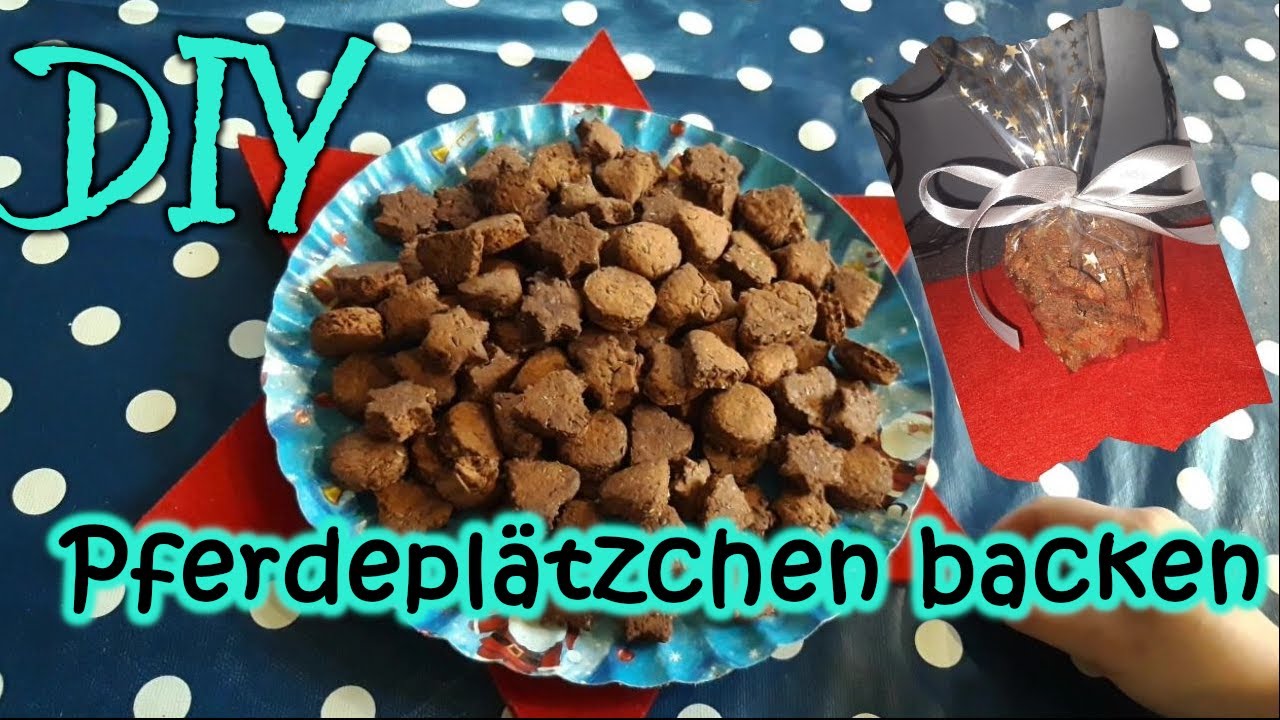 *DIY* Pferdeleckerlies selber backen🍪🐴| Unser Ostsee Ponyleben