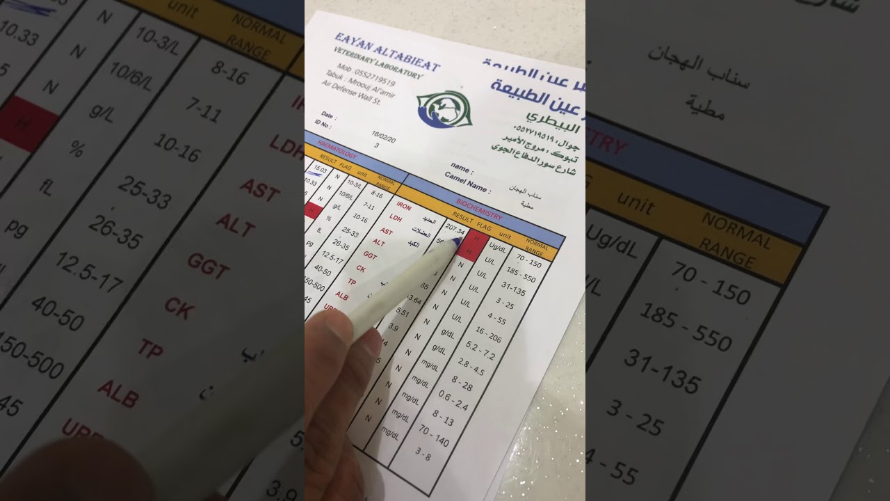 قراءة نتيجة التحليل بعد الفحص المخبري _ د/مهند _ مختبر #عين_الطبيعة