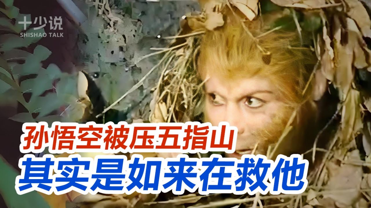 【西游记专题】孙悟空被压五指山，其实是如来佛祖救了他？深度解析西游记里不敢细看的暗黑职场学！#西游记 #十少说故事 #孙悟空