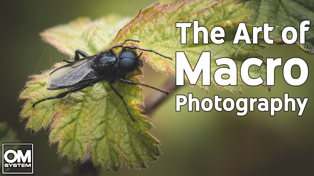 Macro Photography: Knowledge is Power
