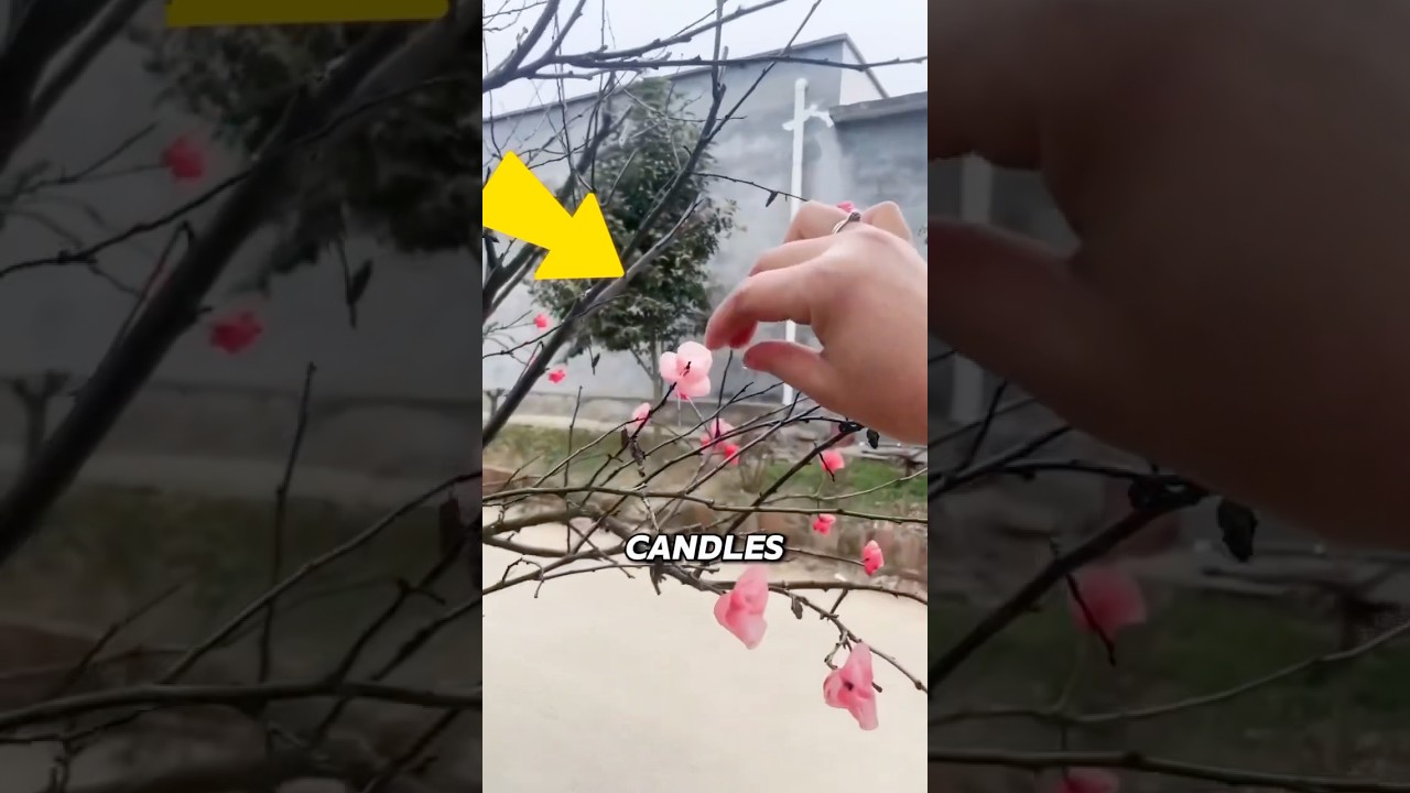 DIY Wax Flowers ‼️